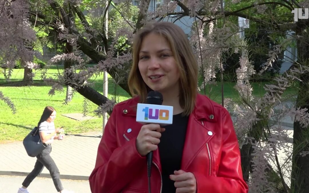 Zapowiedź pierwszego dnia Piastonaliów